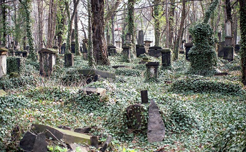 1994-03, Eliasfriedhof (37).jpg